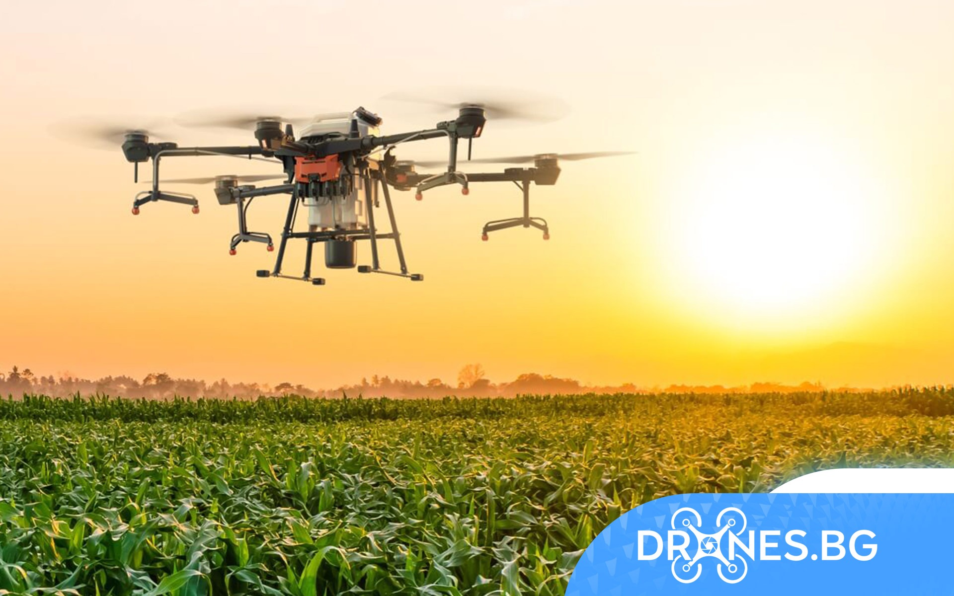 Приложение на индустриалните дронове: селско стопанство
